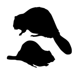 silhouette of beaver