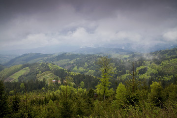 Schwarzwald bei Wolken