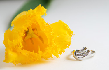 White gold ring and yellow tulip flower