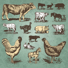 farm animals vintage set (vector)