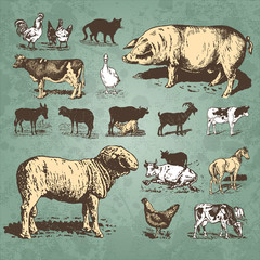 farm animals vintage set (vector)