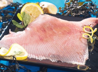 raie pelée © daumy