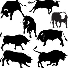Bulls vector silhouettes