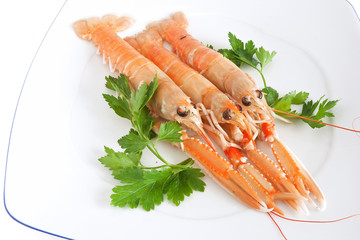 scampi e prezzemolo - prawns and parsley