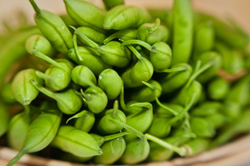 Close-up of green beans