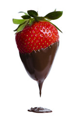 strawberry fruit with melted tasty chocolate