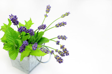lavender