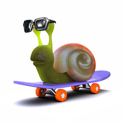 3d Snail on skateboard