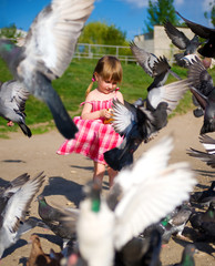 Cute little girl dress feeding pigeons