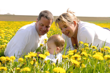 Fototapeta premium Familienfoto - Eltern mit Kind im Löwenzahnfeld