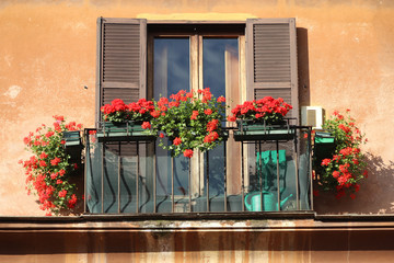 Fototapeta na wymiar Window flowers in Rome, Italy