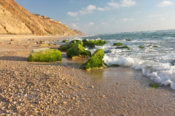 Mediterranean seashore