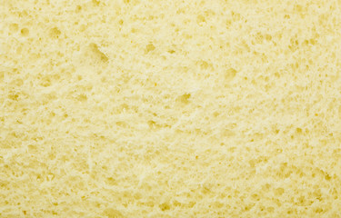 Slice of Bread