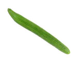 Fresh European cucumber