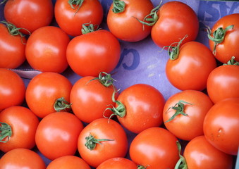 Tomatoes