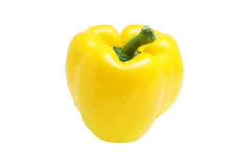 Yellow Pepper
