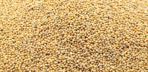 texture of millet