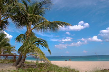 Fototapeta premium Relaxation on the beach of Miami