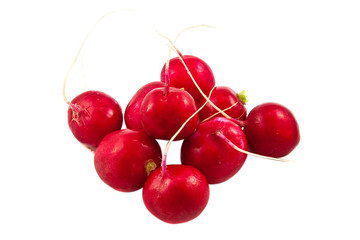 Radish on the white