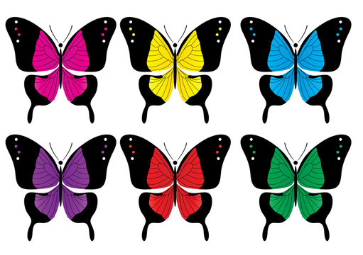 Vector illustration of butterfly collection