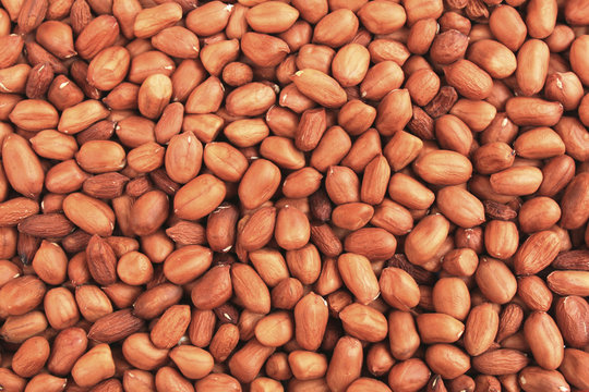 texture Asian red bean background