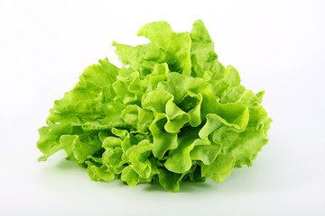 Lettuce, green on a white background