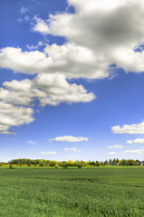 Fototapeta na wymiar Scenic field with blue sky - HDR
