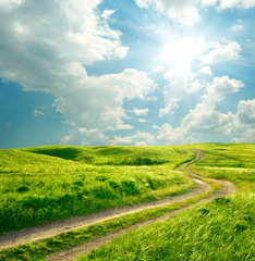 Summer landscape with green grass, road and clouds - 22838147