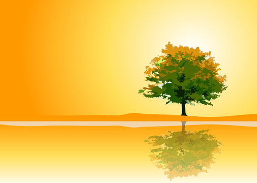 TREE_ORANGE