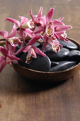 Purple orchids (catteya) and stone in wooden bowl