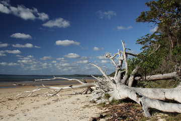 Strand von Fraser Island