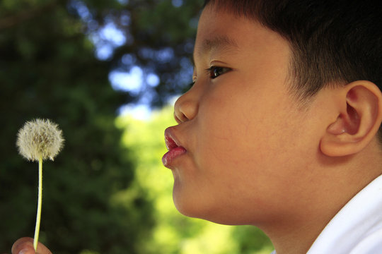 Boy Blowing Dandelion