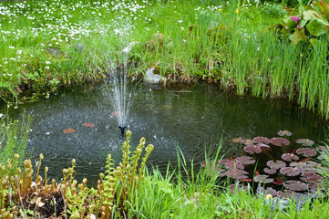 Gartenteich