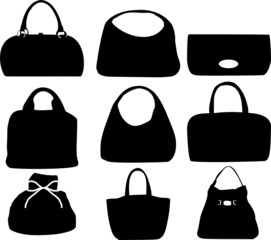 Fashion bags set
