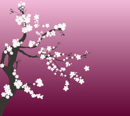Fototapeta na wymiar Romantic cherry tree
