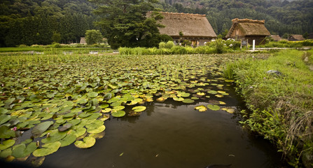 Fototapeta premium Shirakawa-Go 08
