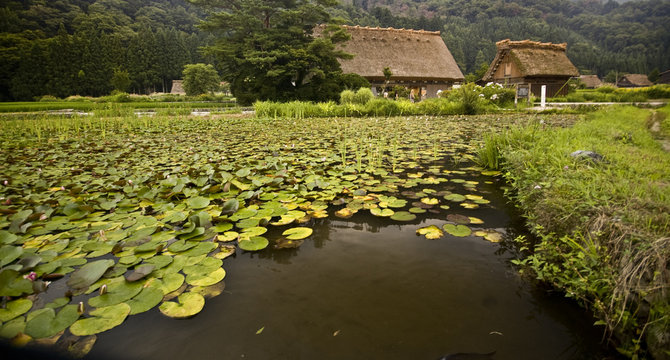 Shirakawa-Go 08