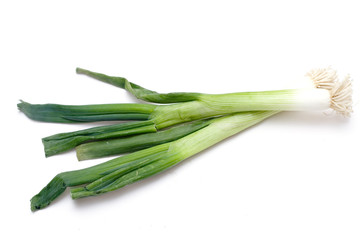 Organic Spring Onions