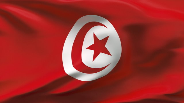 Creased Tunisia satin flag in wind with seams and wrinkle