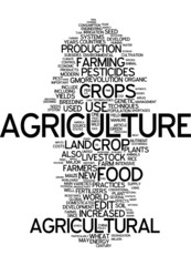 Fototapeta premium Agriculture