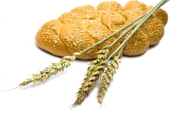 Wheat and bread on white background
