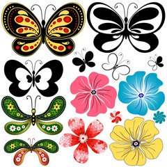 Obraz premium New collection butterflies and flowers