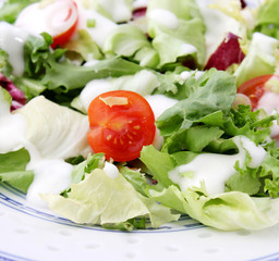 frischer salat