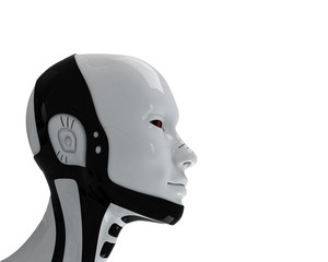 Fototapeta premium Candid white-black head of robot in profile