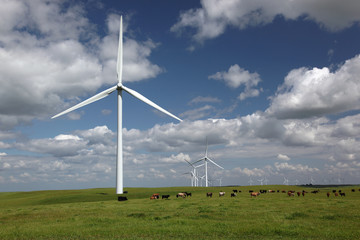 Fototapeta premium White Power Generating Wind Turbines