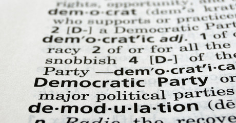 Democratic Party Defined