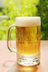 Beer