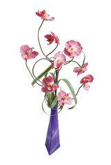 Orchids in vase