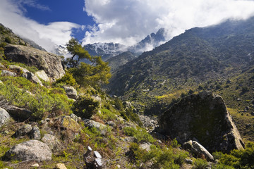 Fototapeta na wymiar Tejea gardła w Sierra de Gredos. Hiszpania