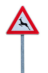 Segnale stradale di animali in libertà isolato